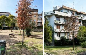alberi-parco-maratona