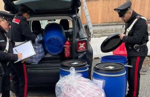 carabinieri-marijuana