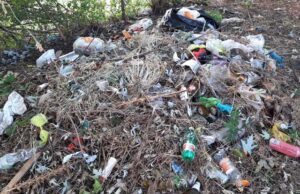 via-flaminia-fleming640