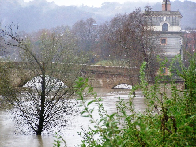 Sponda destra Ponte Milvio
