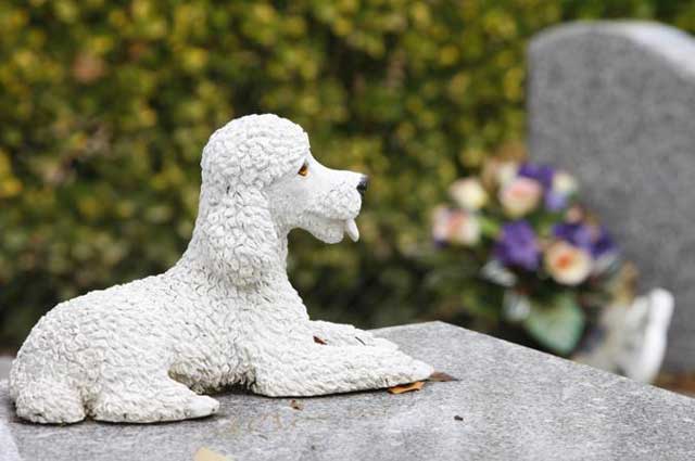 cimitero-animali-affezione