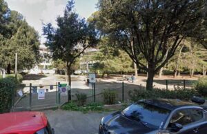 parco-cani-alpinismo