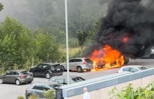 auto incendio paideia