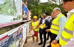 gualtieri torquati colli d'oro