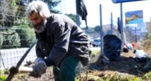 marìn-al-lavoro