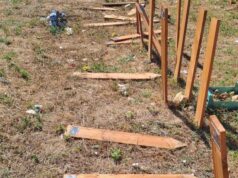 giardino degli angeli cimitero flaminio