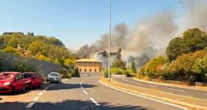 incendio collina montemario