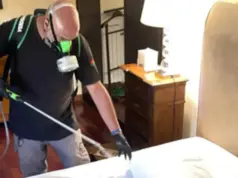 Disinfestazione cimici letti