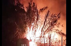 Fiamme a Prima Porta, brucia un terreno incolto fiamme via inverigo