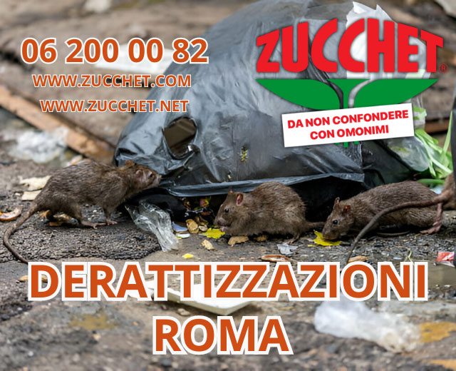 DERATIZZAZIONI-ROMA