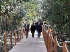 primo parco affaccio