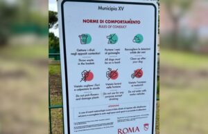 norme comportamentali