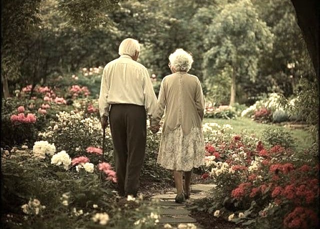 anziani fra fiori