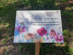 parco d'affaccio acqua acetosa (0)