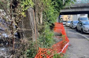 Un ‘pollaio’ pericoloso in via Orti della Farnesina via orti farnesina