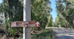 castel di guido oasi