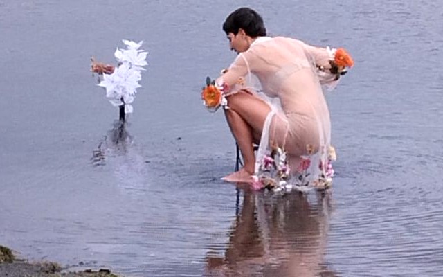 5 luglio arte e natura