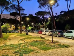 auto nel parco volpi