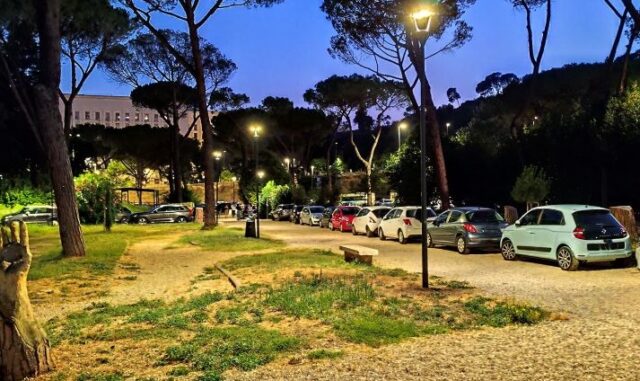 auto nel parco volpi