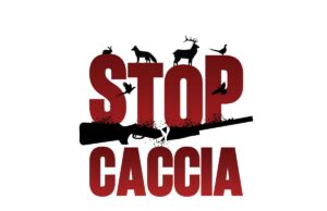 Stop alla caccia