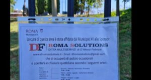 df roma solutions