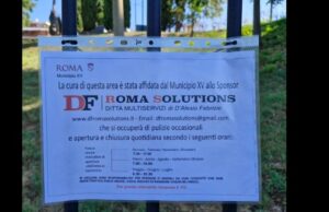 df roma solutions