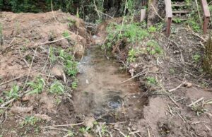 Una seconda perdita d’acqua abbondante all’Insugherata