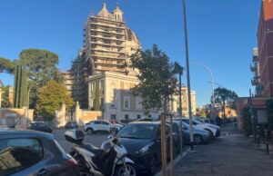 Nuovi alberi in zona Farnesina alberelli nuovi farnersina