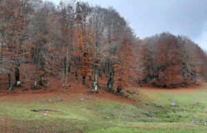 Foliage sui monti Simbruini, una meraviglia della natura foliage