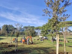 nuovi alberi parco volusia