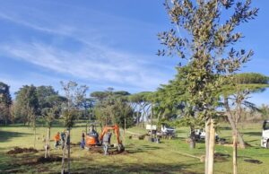 Parco Volusia, nuovo boschetto in arrivo: piantati 25 alberi nuovi alberi parco volusia