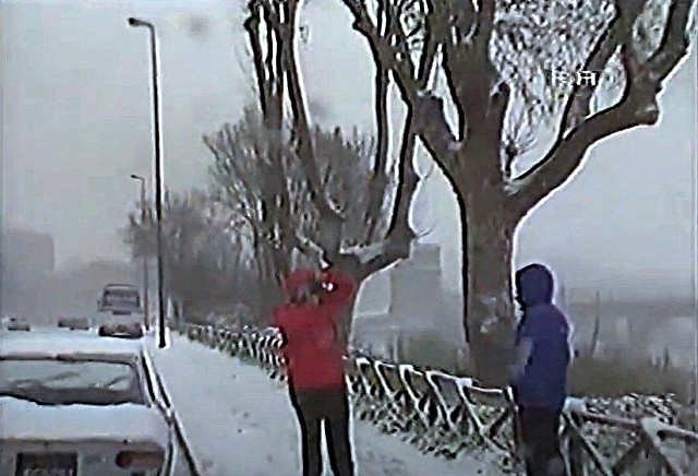 ponte milvio nevicata 6 gennaio 1985