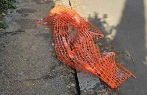 rete arancione via dei giochi istmici