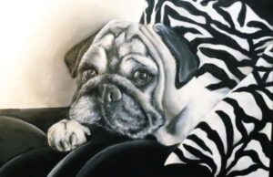 Tomba di Nerone, alla galleria studio CiCo arriva “Animalier” opera animalier cico