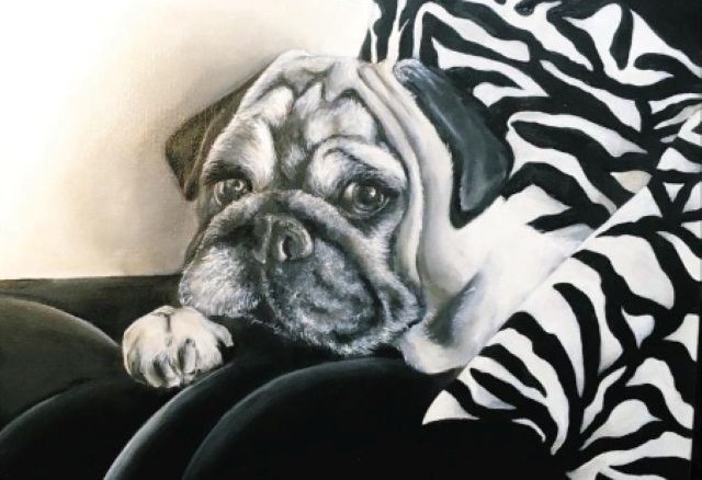 opera animalier cico