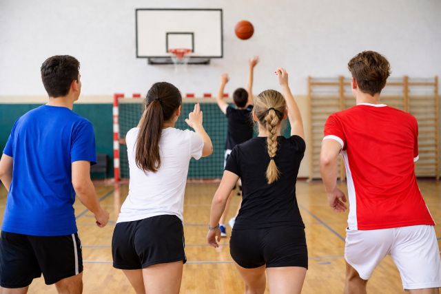 palestra scolastica palestra scolastica