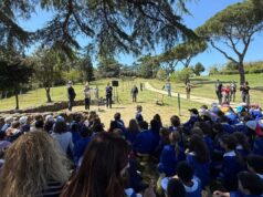 microbosco_parco_volusia