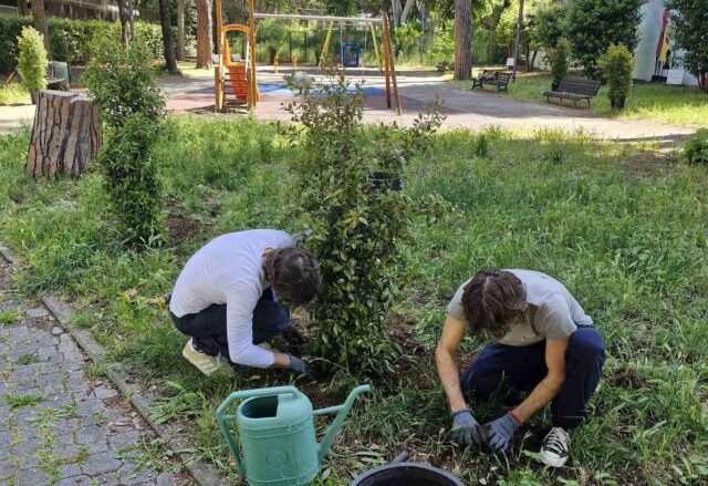 volontariato roma cura roma