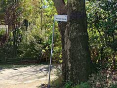 via dell'acqua traversa