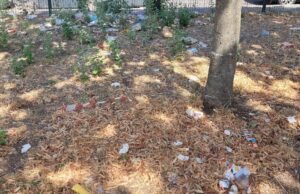 Labaro, FdI denuncia degrado ai giardini di Colli d’Oro