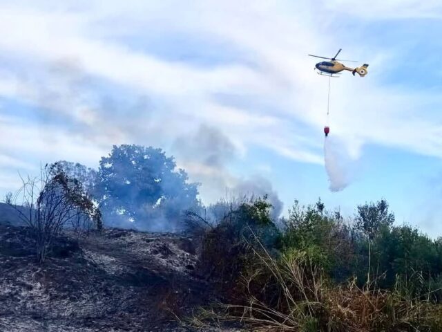 incendio-cesano-mocci